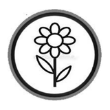 Hibir Ethiopia Democratic Party ballot symbol