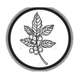 Peace for Ethiopia Coalition ballot symbol
