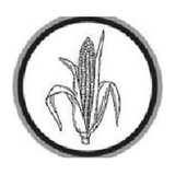 Raya Rayuma Democratic Party ballot symbol